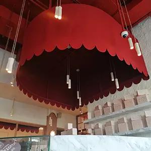 PTFE Teflon-coated premium shade canopy